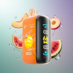 Eesti Hulgimüüjad ELF BAR RAYA D3 25000 Suutekestvus Mango-melonivesi Laetav 850mAh